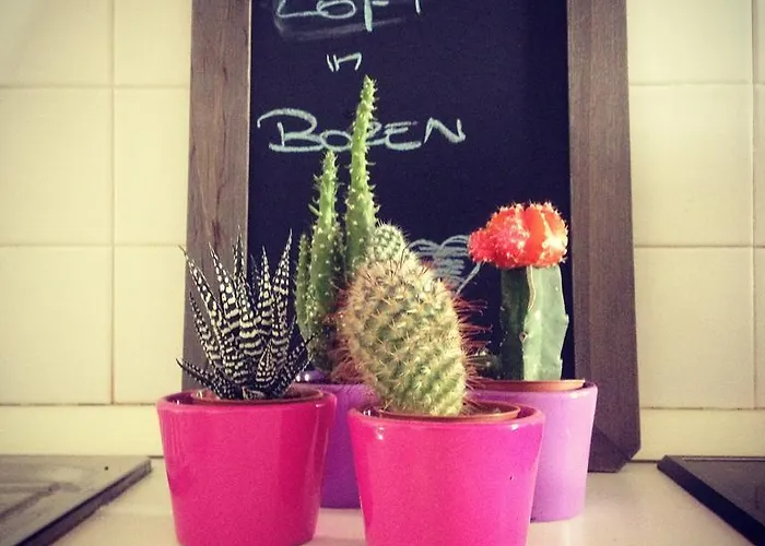 Appartamento Loft L'alessandra Bolzano